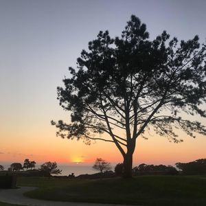 Meet your Posher, Ernie